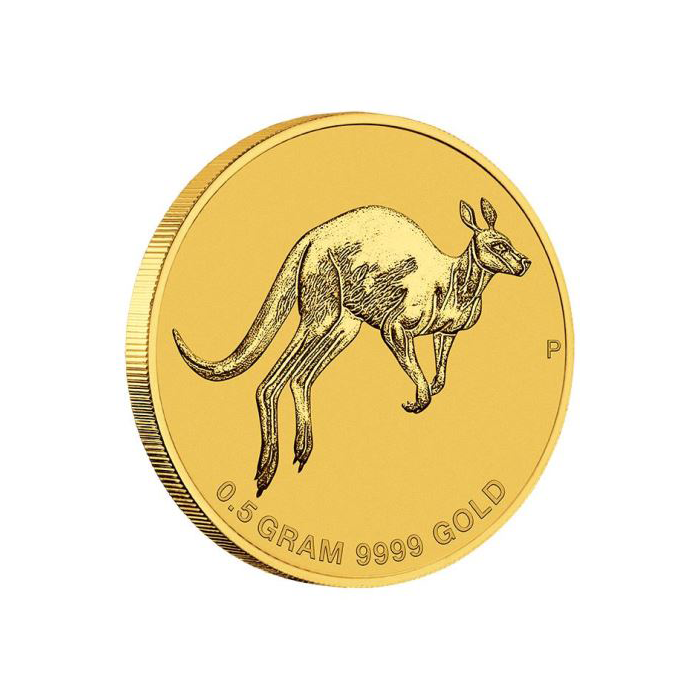 Australian Gold Mini Roo