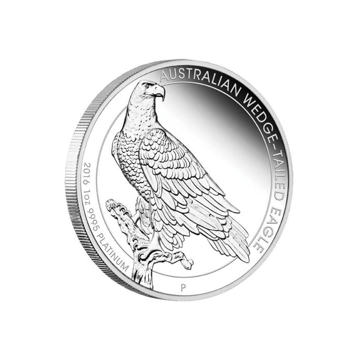 Australian Platinum Wedge-Tailed Eagle