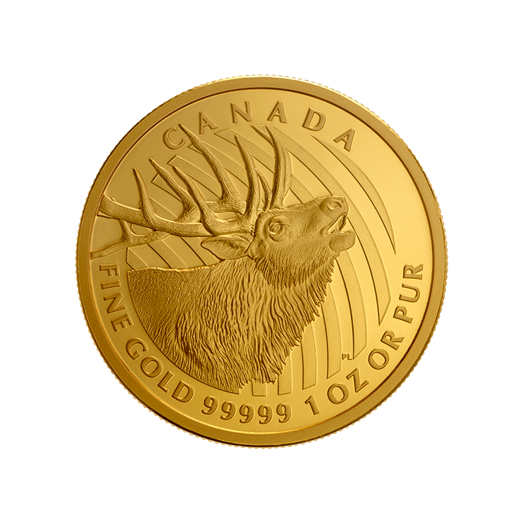 Canadian Gold Elk
