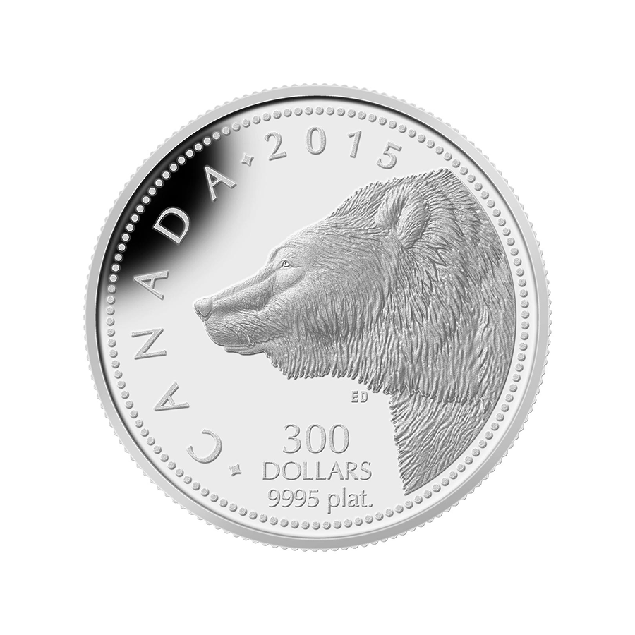 Canadian Platinum Grizzly Bear