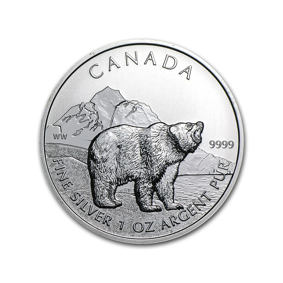 Canadian Silver Grizzly Bear