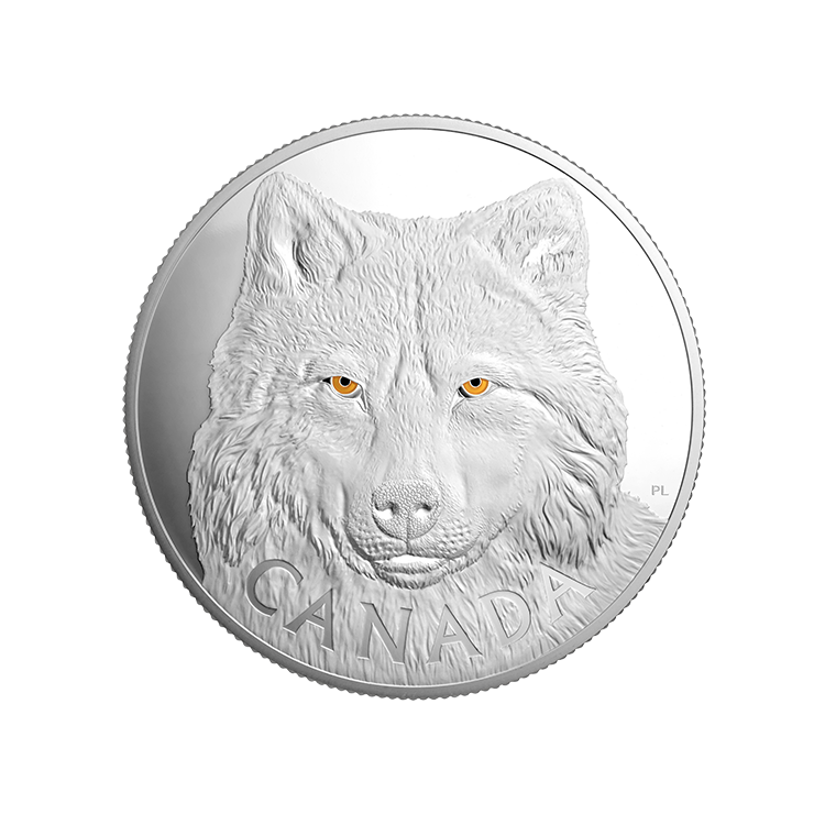 Canadian Silver Timber Wolf