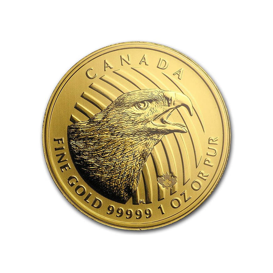 Canadian Golden Eagle