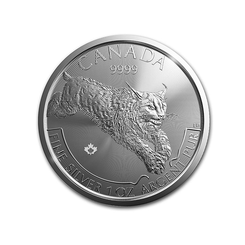 Canadian Predator Silver Lynx